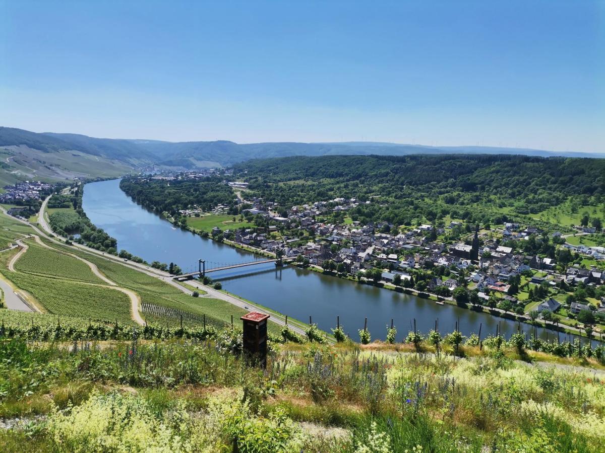 Sonnenufer Apartment & Moselwein I Bernkastel-Kues Dış mekan fotoğraf